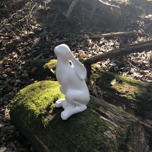 Bunny in the woods