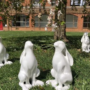 Bunnies in the grass