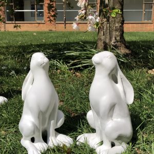 Bunnies in the grass