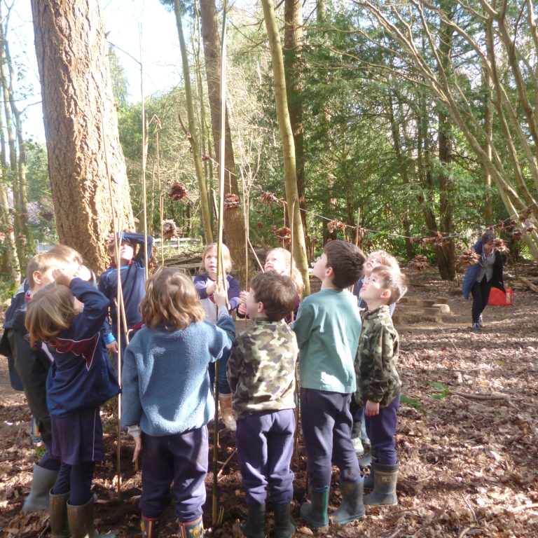 Forest Reed Barrow Friday 13th March 2026 - Barrow Hills